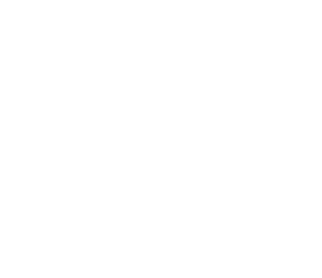 入札情報